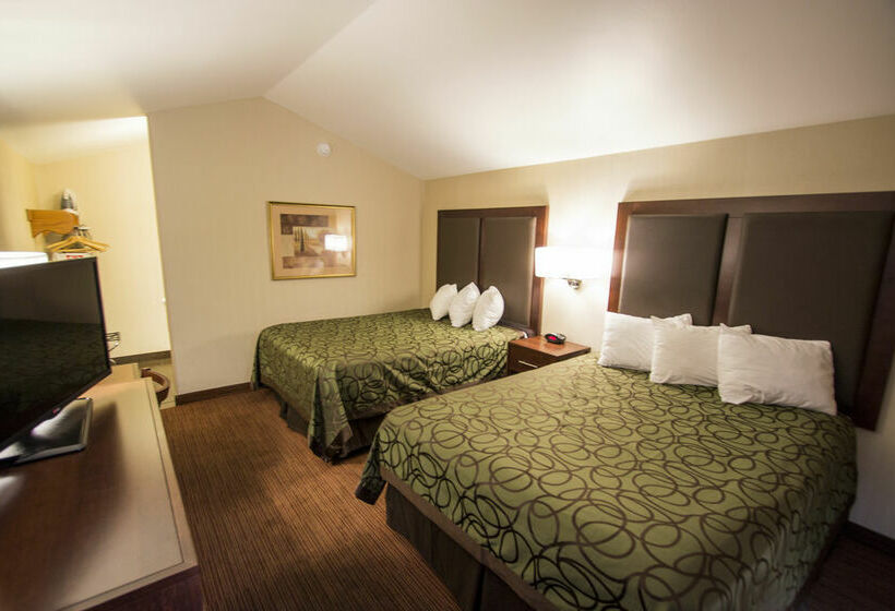 酒店 Econo Lodge University