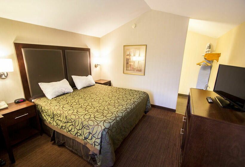 酒店 Econo Lodge University