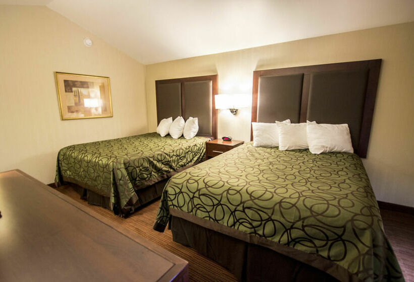 酒店 Econo Lodge University