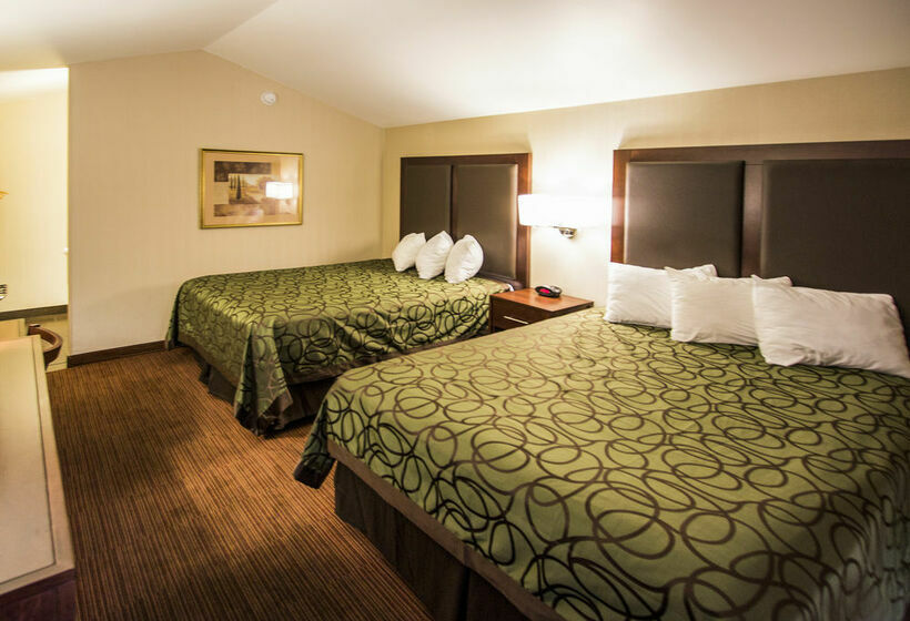 酒店 Econo Lodge University