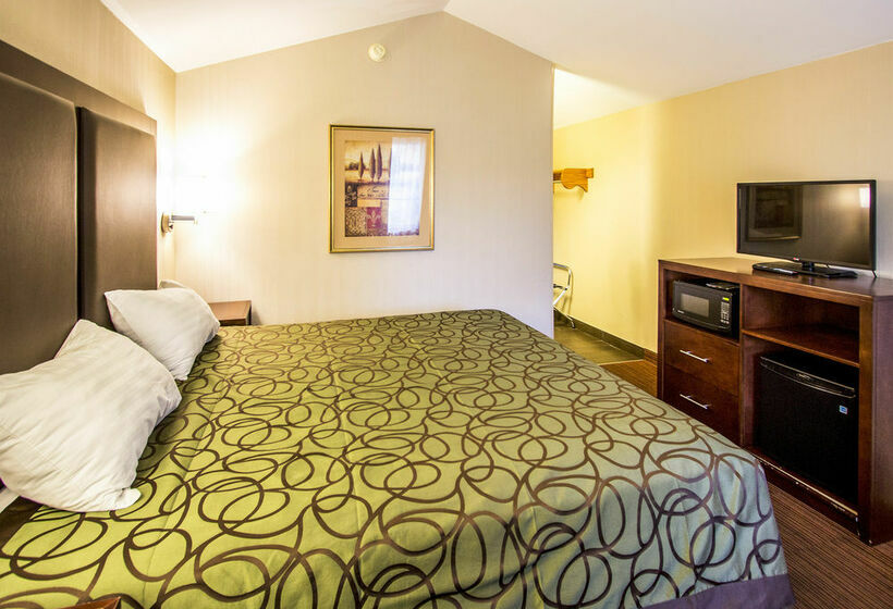 酒店 Econo Lodge University