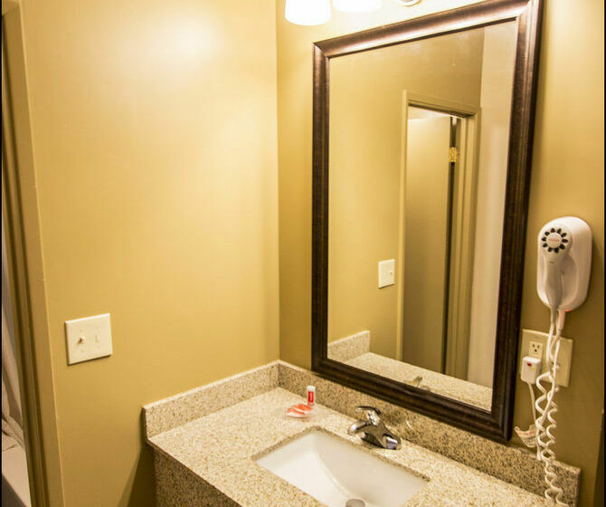 酒店 Econo Lodge University