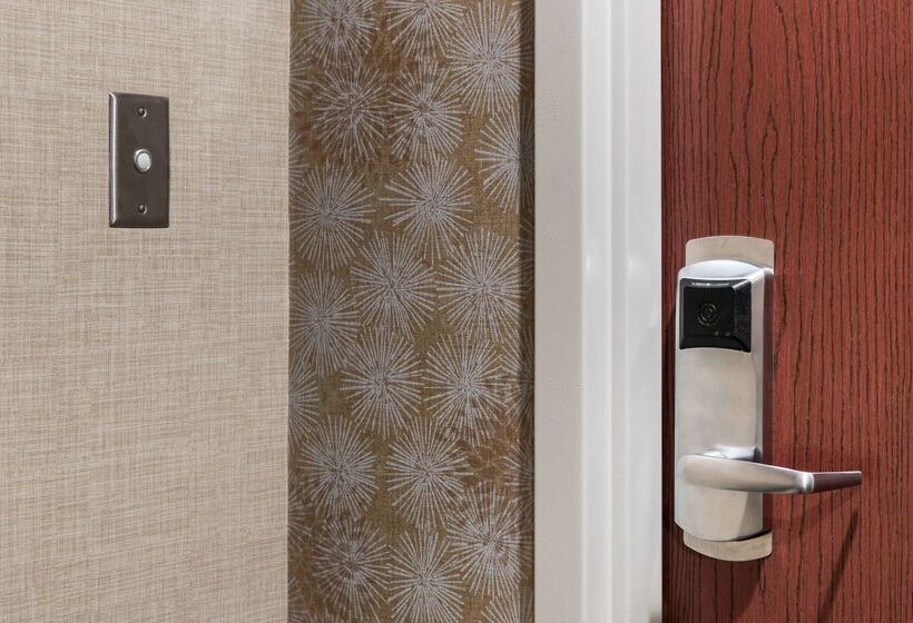 فندق Hampton Inn St. Louisdowntown