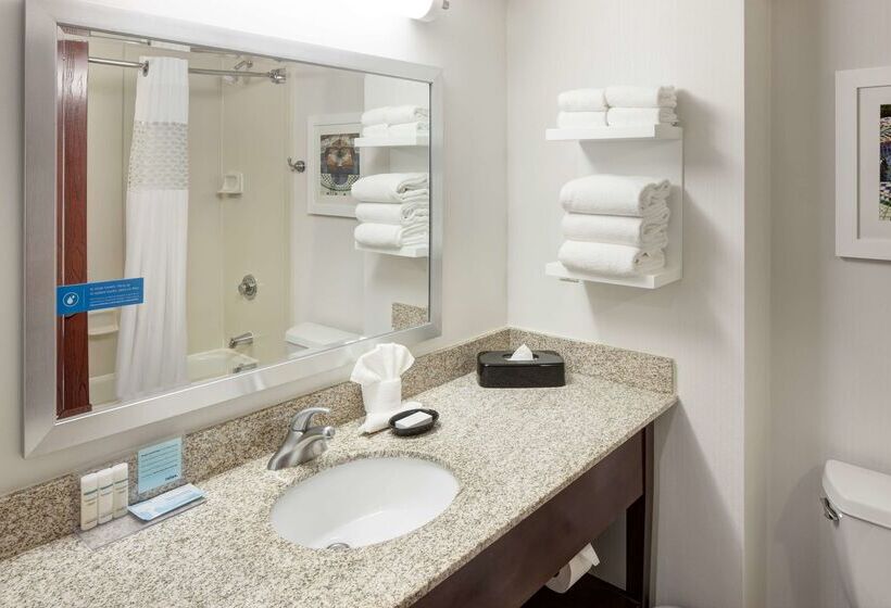 فندق Hampton Inn St. Louisdowntown
