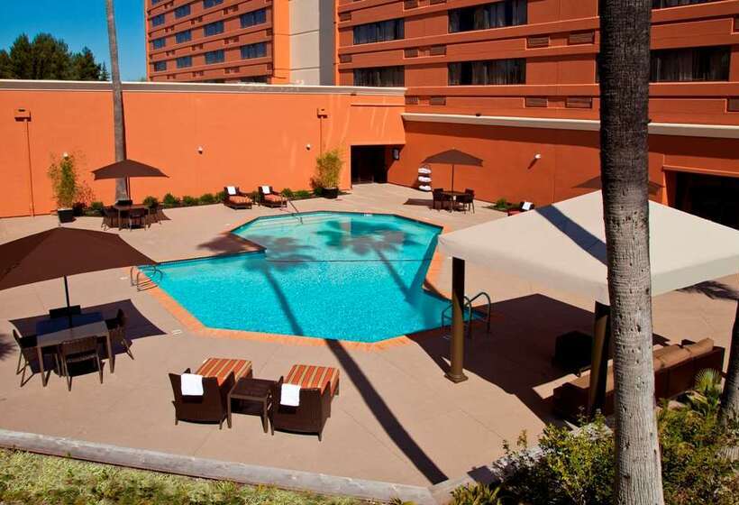 فندق Hilton Concord