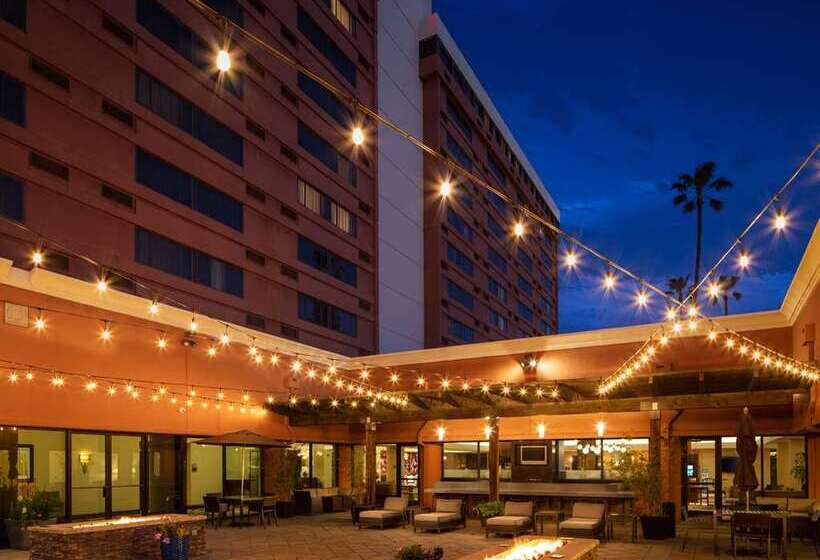 فندق Hilton Concord