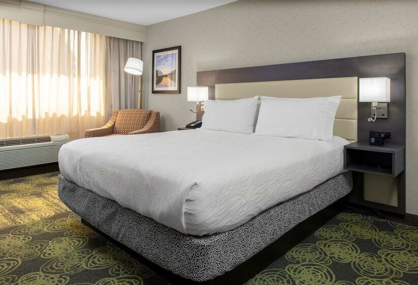 Отель Hilton Garden Inn Reagan National Airport