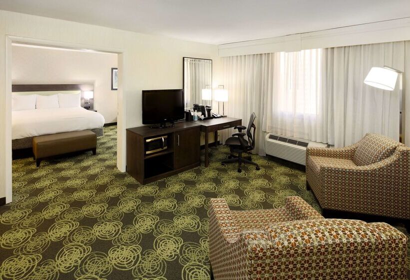 Отель Hilton Garden Inn Reagan National Airport