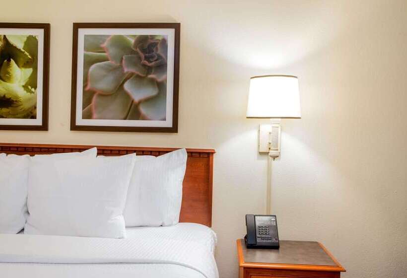 酒店 La Quinta By Wyndham Ft Lauderdale Cypress Creek