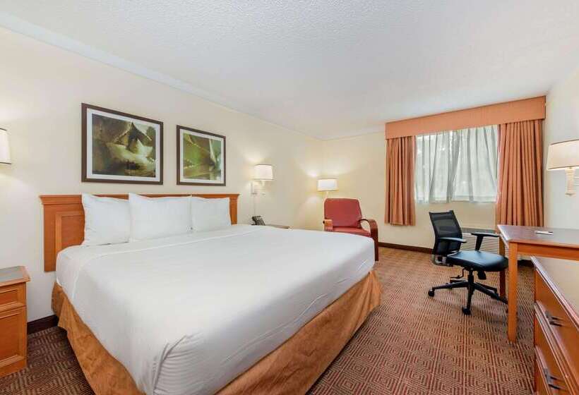 هتل La Quinta By Wyndham Ft Lauderdale Cypress Creek