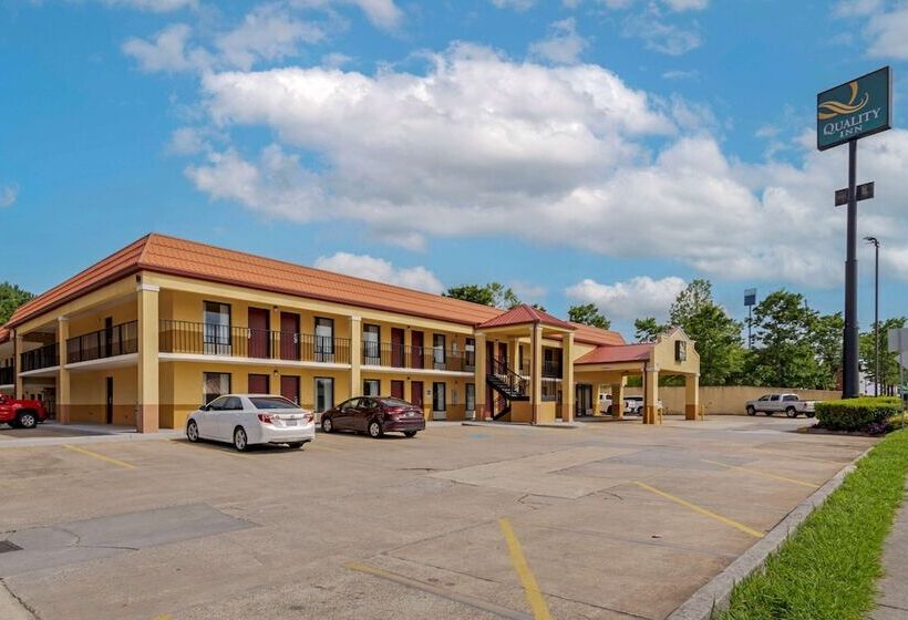 Отель Quality Inn