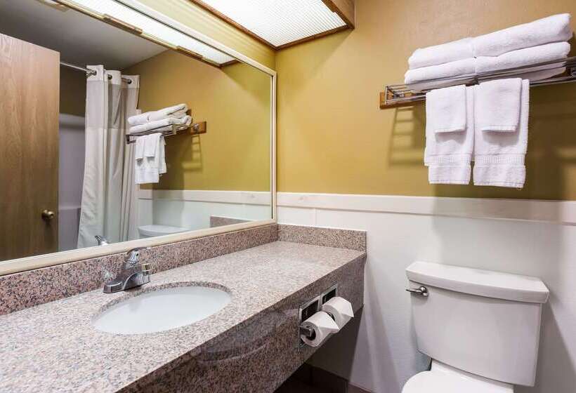 فندق Quality Inn Airport