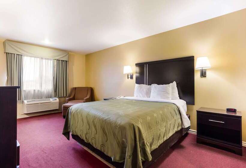 فندق Quality Inn Airport