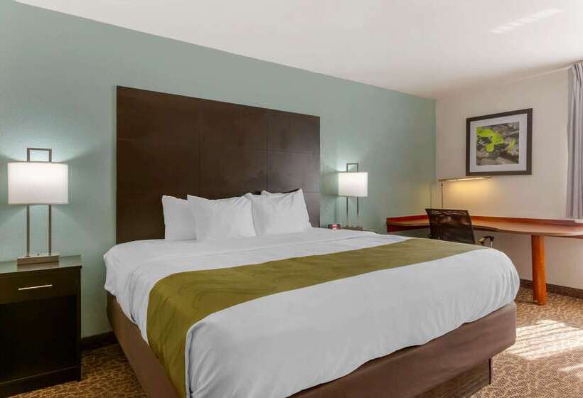 فندق Quality Inn Alexis Rd