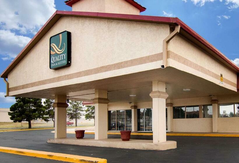 Отель Quality Inn & Suites
