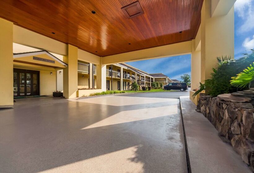 Отель Quality Inn Coliseum