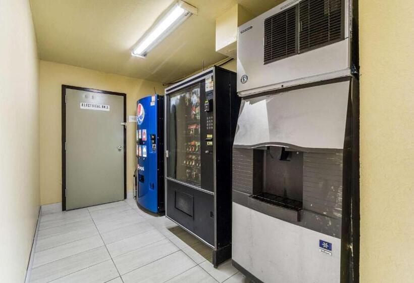 Отель Quality Inn Coliseum