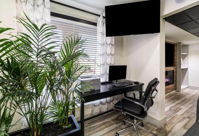 Отель Quality Inn Coliseum