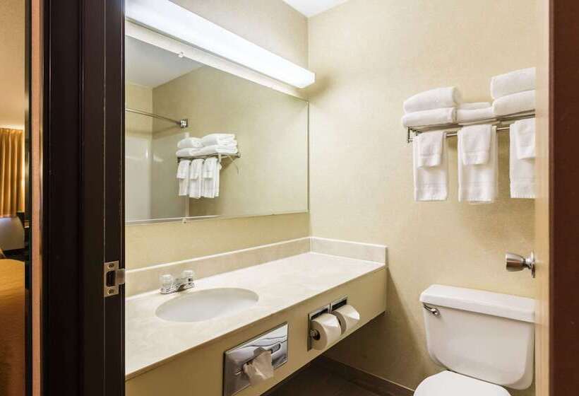 בית מלון כפרי Quality Inn Columbia Mall