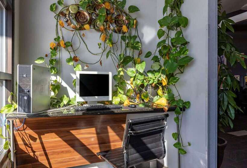 酒店 Quality Inn Duncan Spartanburg West