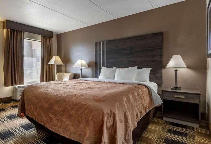 酒店 Quality Inn Duncan Spartanburg West