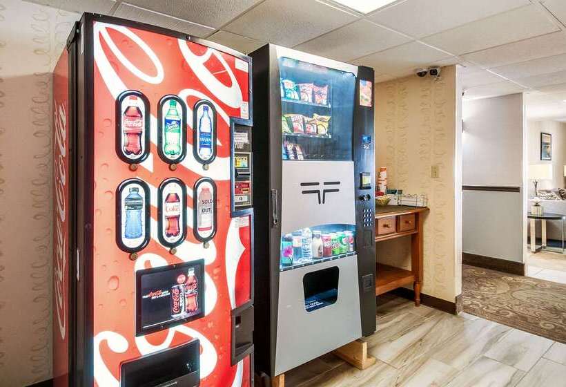 Отель Quality Inn