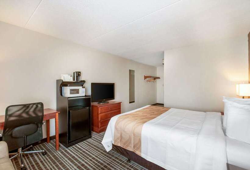 Отель Quality Inn