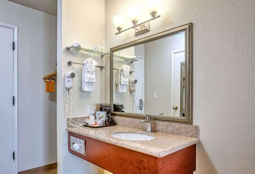 ホテル Quality Inn Near Six Flags Discovery Kingdomnapa Valley