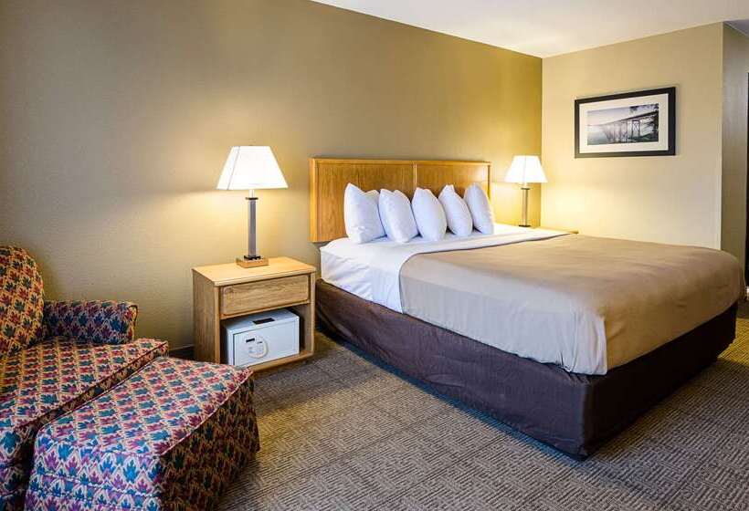 ホテル Quality Inn