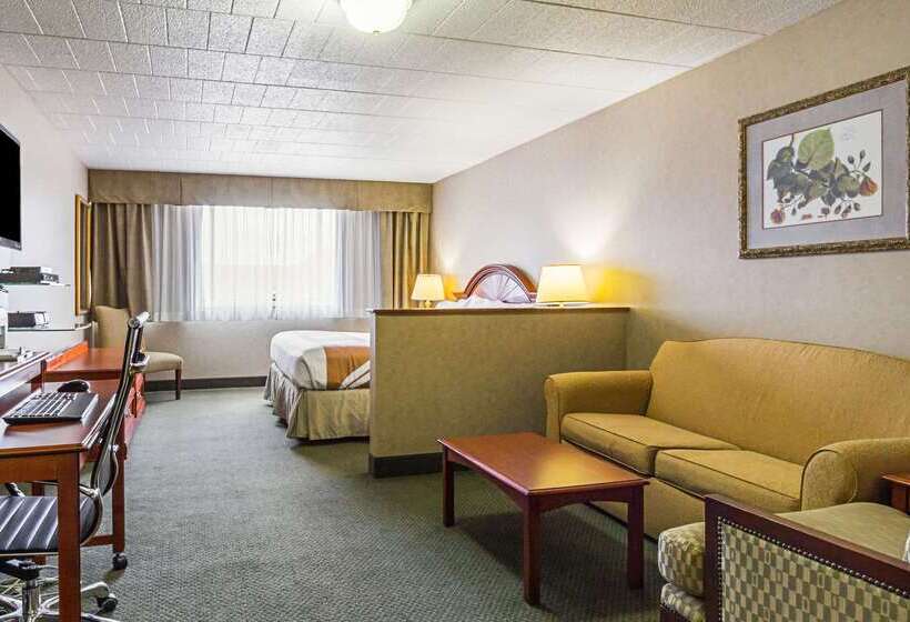 호텔 Quality Inn & Suites