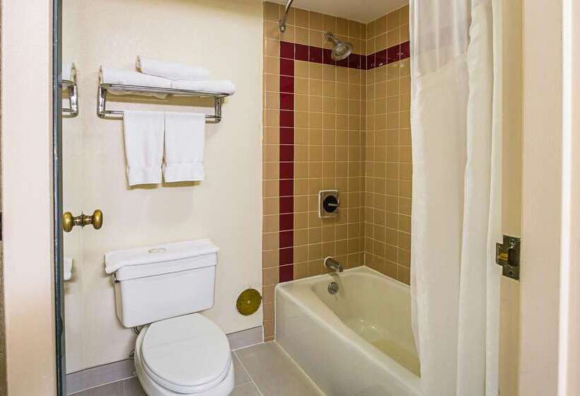 호텔 Quality Inn & Suites