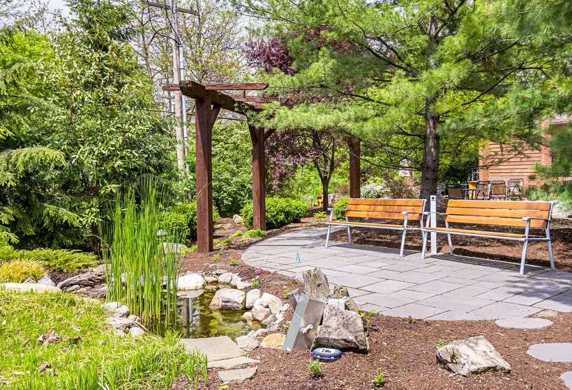 호텔 Quality Inn & Suites