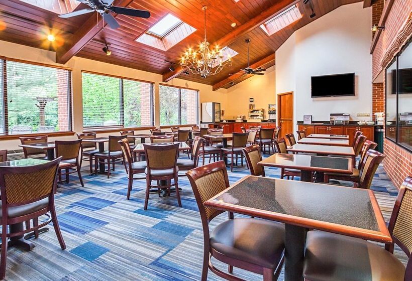 호텔 Quality Inn & Suites