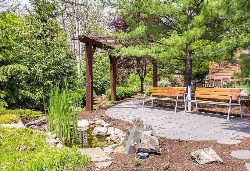 호텔 Quality Inn & Suites