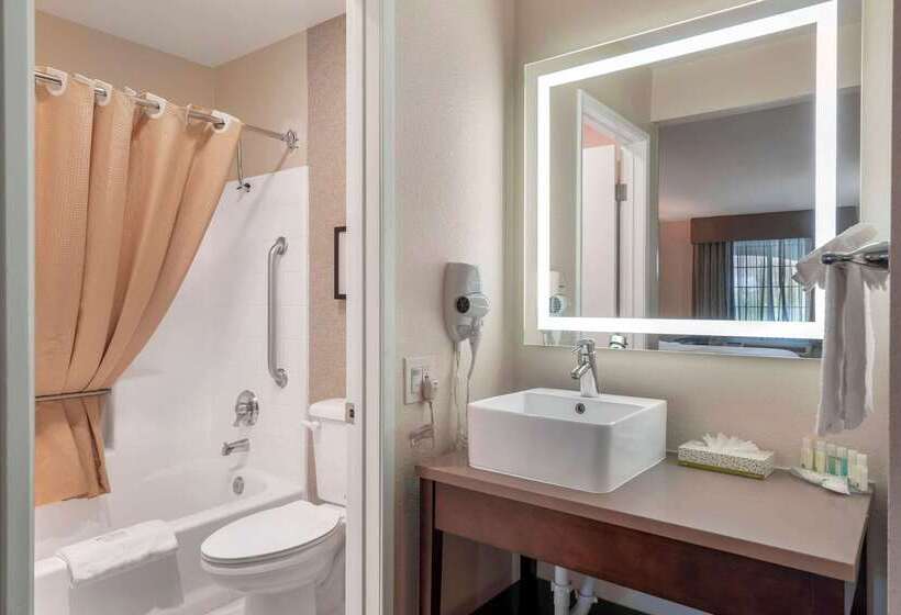 ホテル Quality Inn & Suites Camarillooxnard