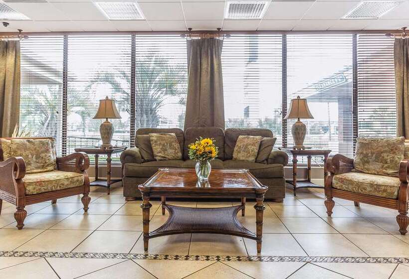 ホテル Quality Inn & Suites
