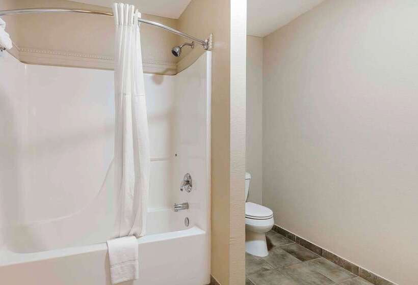 هتل Quality Inn & Suites Sevierville  Pigeon Forge