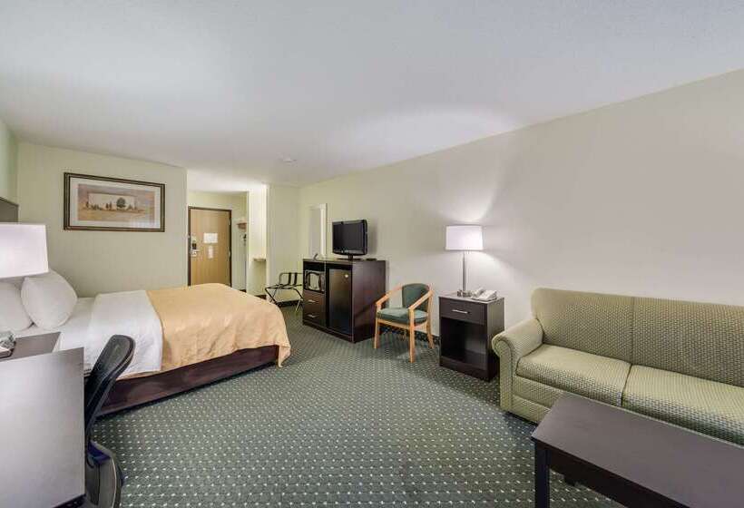 هتل Quality Inn & Suites South