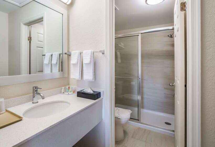 فندق Quality Inn & Suites