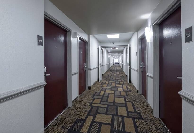 酒店 Red Roof Inn Raleigh North Crabtree Mall Pnc Arena