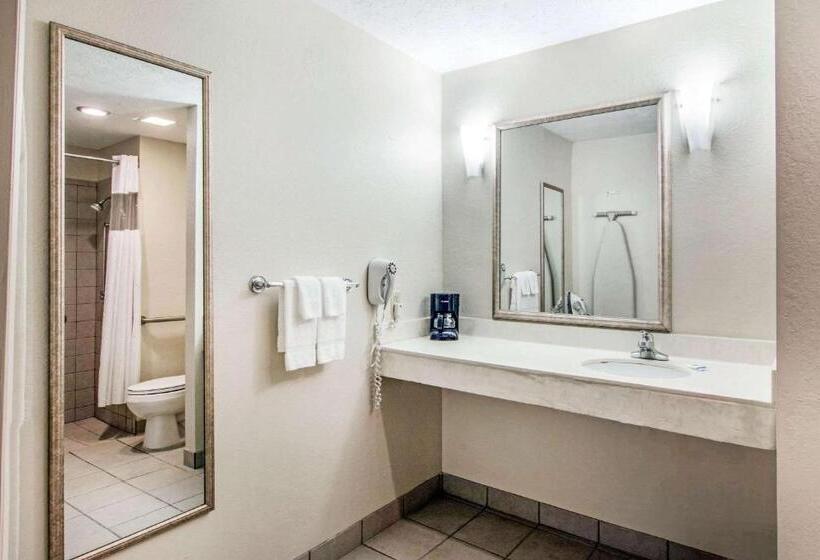 فندق Rodeway Inn