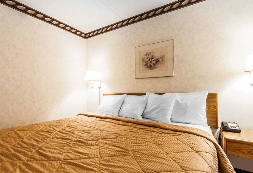 فندق Rodeway Inn