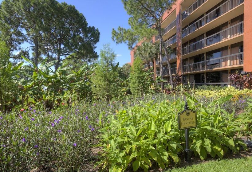 호텔 Rosen Inn Lake Buena Vista