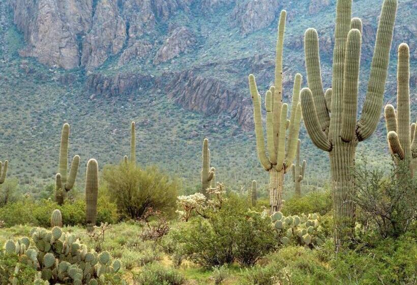 هتل Sheraton Crescent