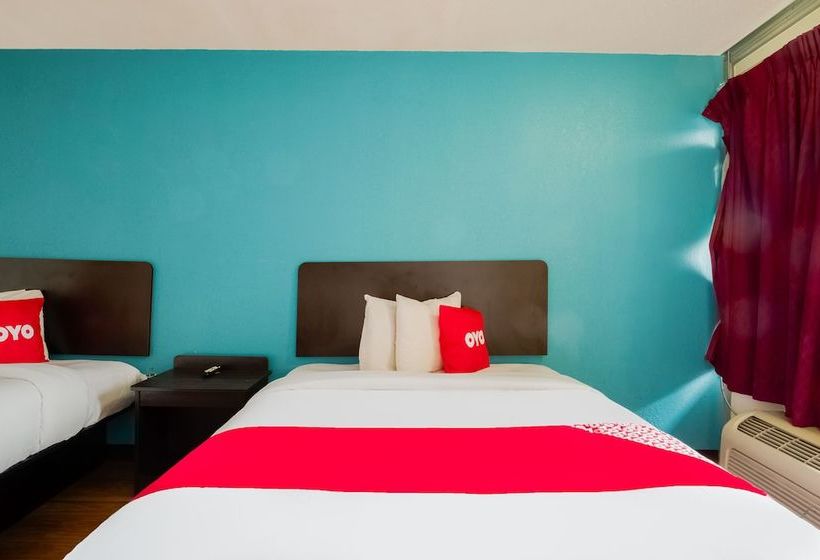 فندق St. Louis Lambert Airport