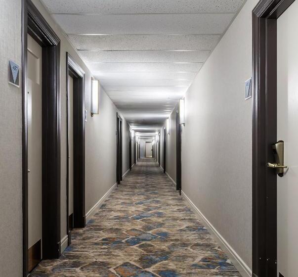 هتل Versey Chicago Lincoln Park