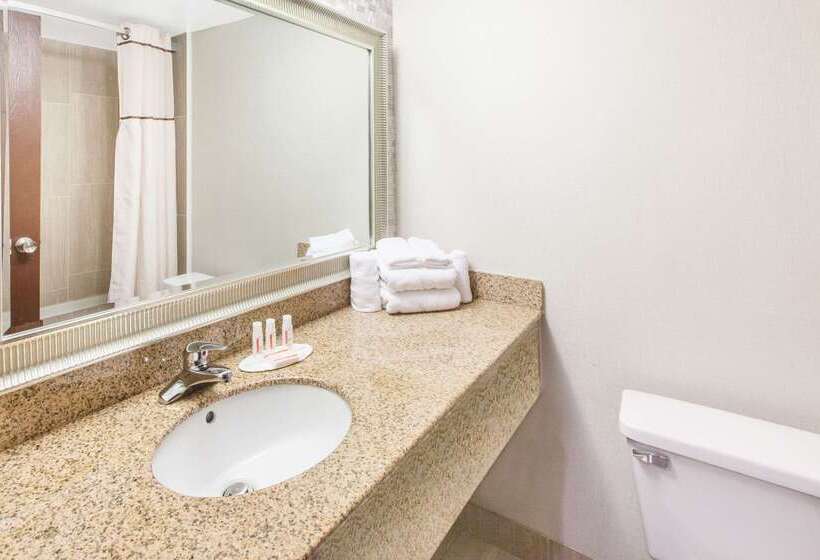 Отель Wingate By Wyndham Detroit Metro Airport