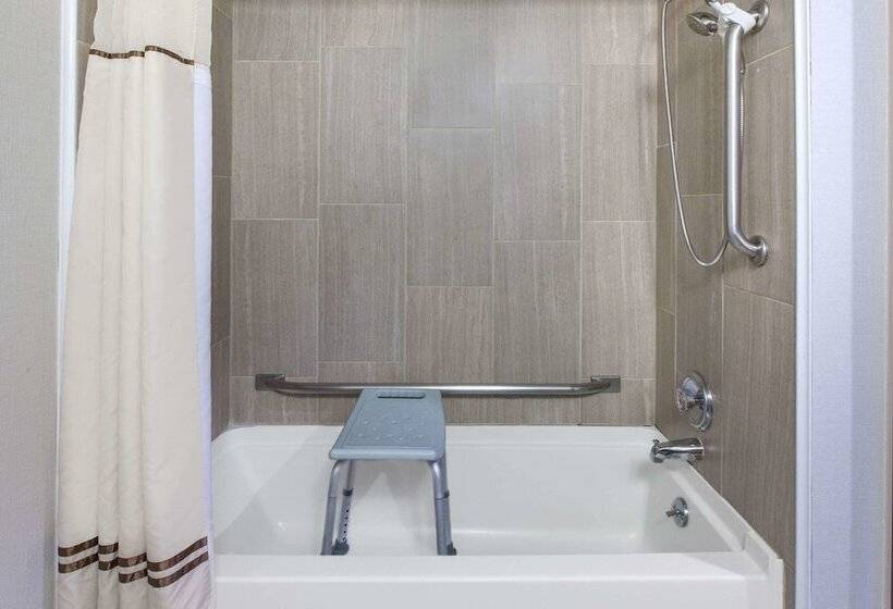 Отель Wingate By Wyndham Detroit Metro Airport