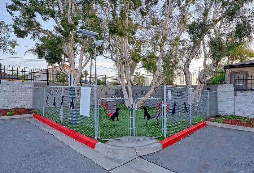 Motel 6 Los Angeles, Ca   Los Angeles   Lax