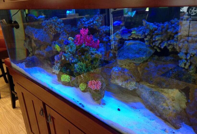 فندق على الطريق Days Inn By Wyndham Brooksville